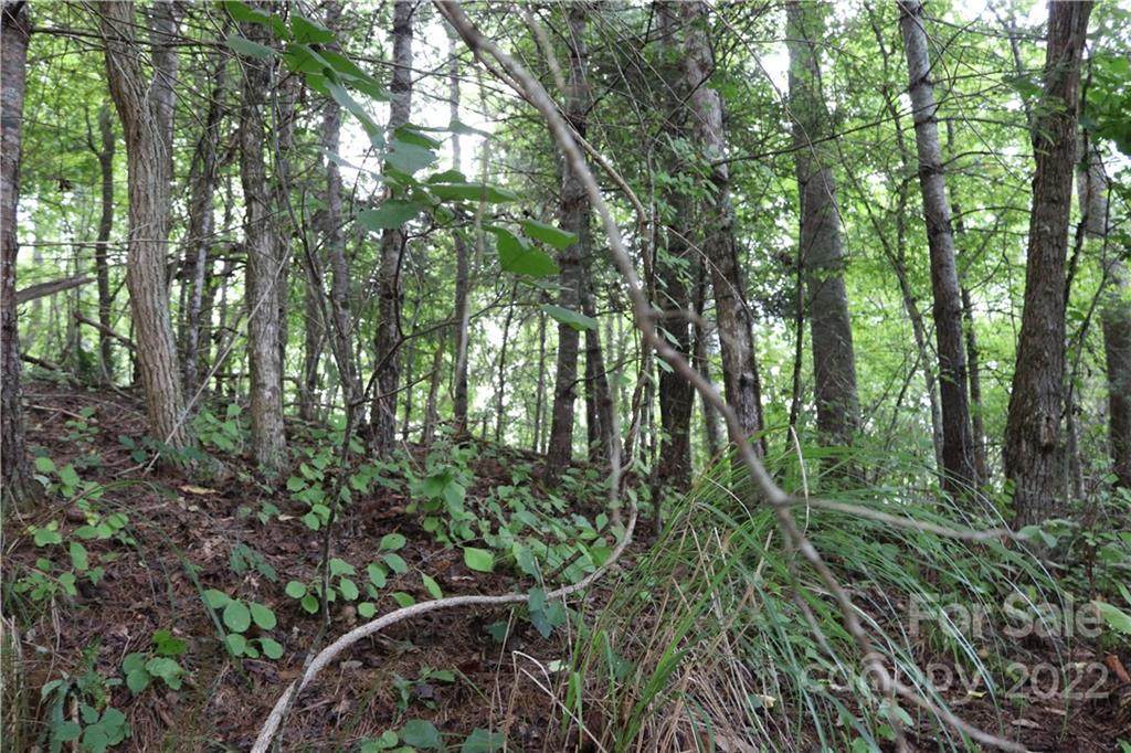 99999 Bartlett Road - Photo 1