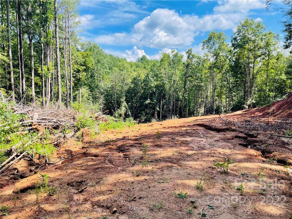 209 Rivercliff Drive - Photo 1