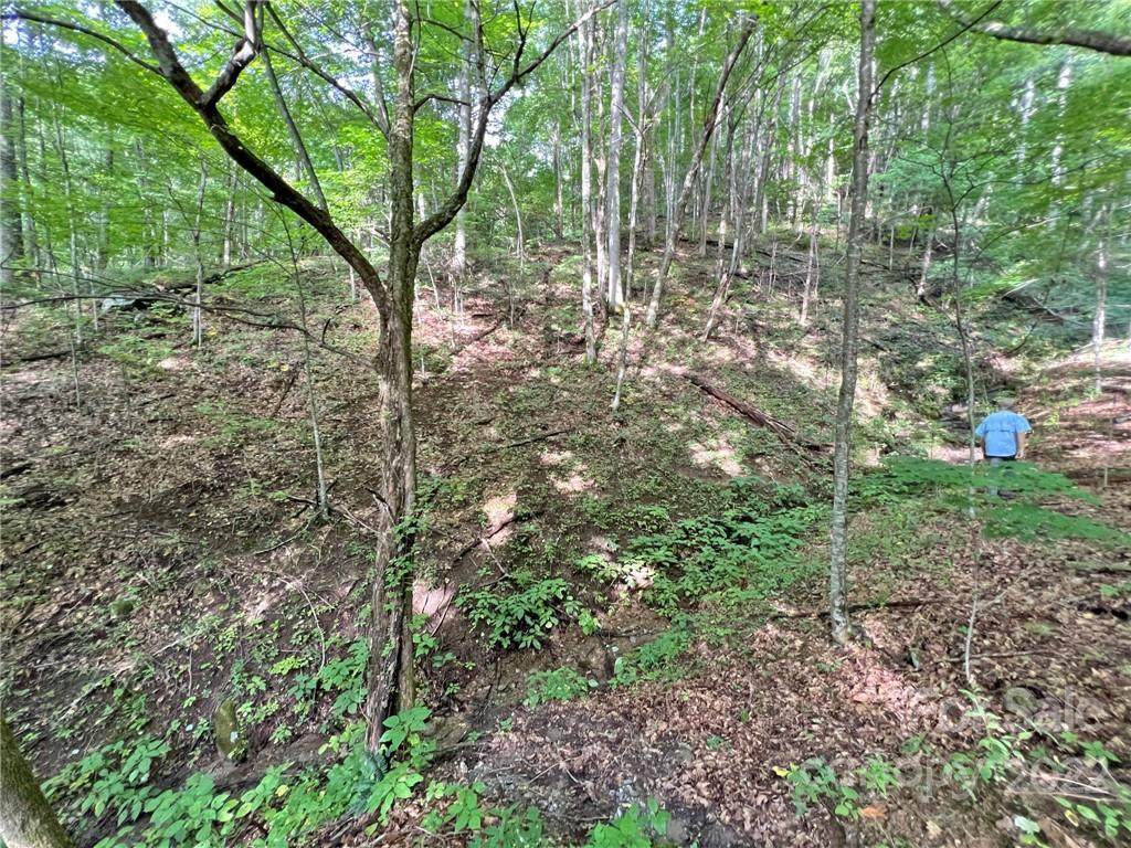 TBD Running Bear Road - Photo 1