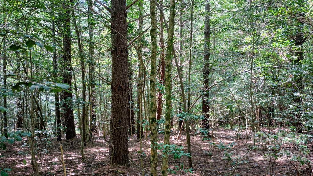 Lot 14 Narrow Gauge Drive - Photo 1