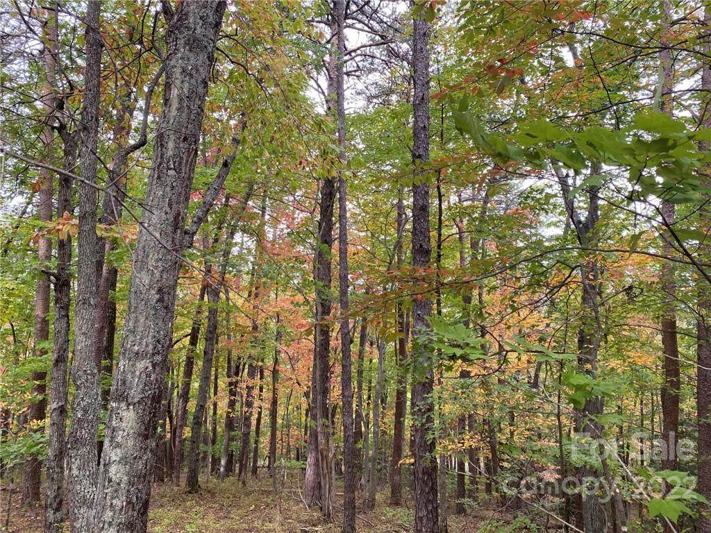 0 Buttonwood Road - Photo 1