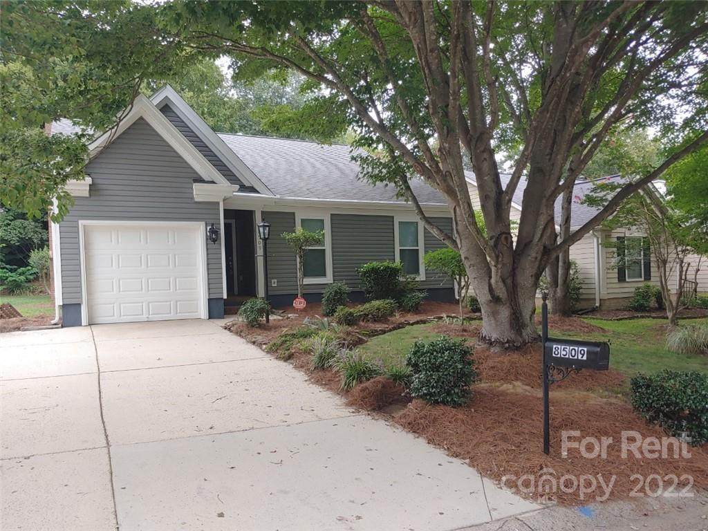 8509 Lockerbie Lane - Photo 1