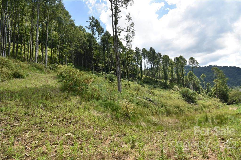 Land Off Turkey Creek Road - Photo 1