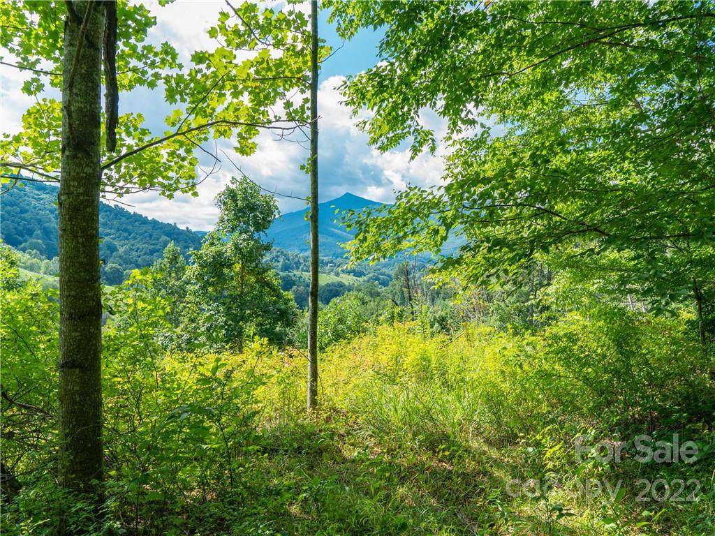 Lot 7 Locust Rough Mountain Road - Photo 1