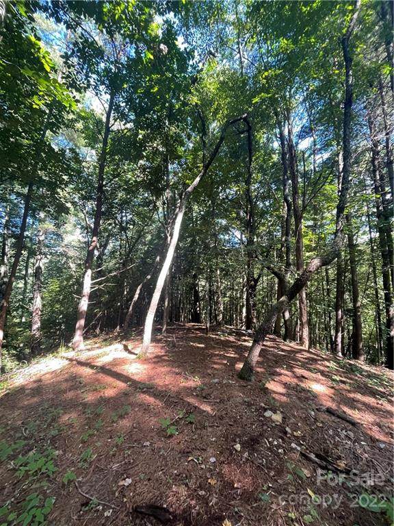 99999 Long Ridge Road - Photo 1