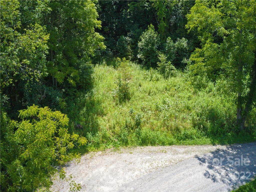 0 Long Branch Road - Photo 1