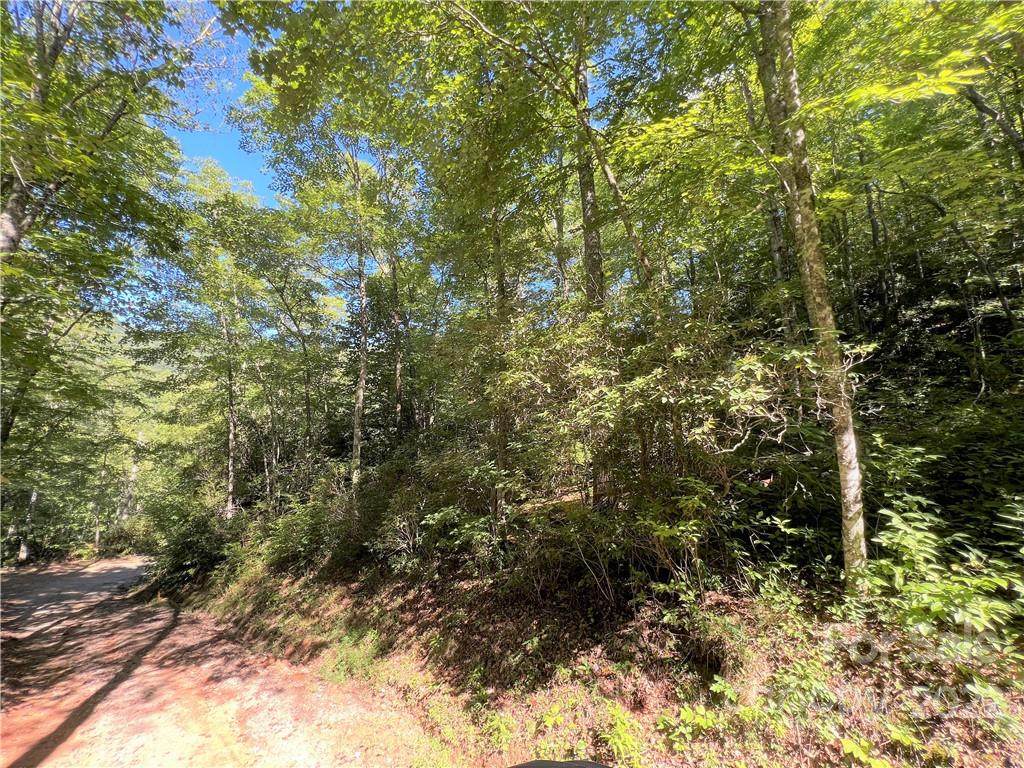 Lt 3 Falling Waters Road - Photo 1