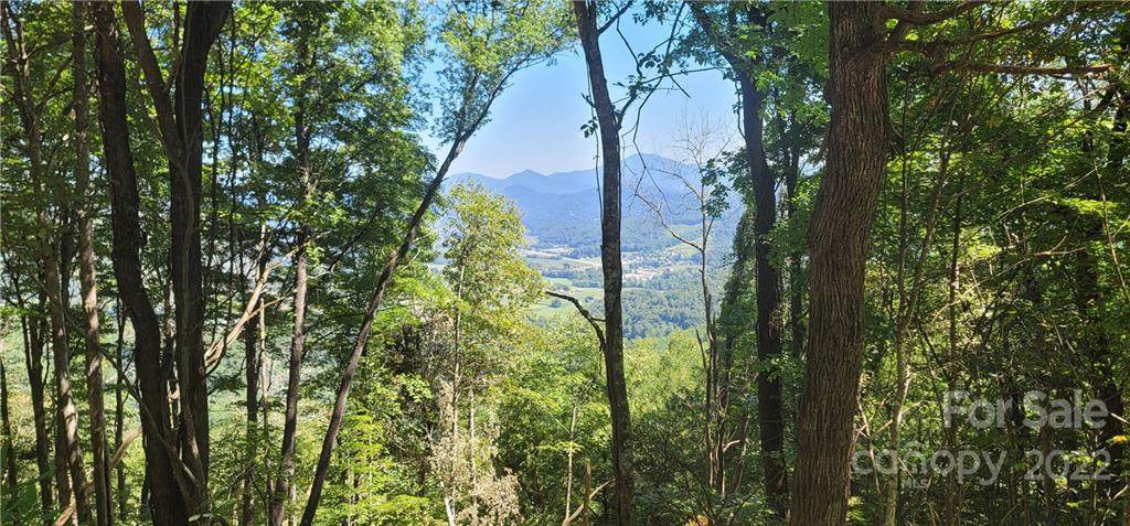Lot 614 Observation Point - Photo 1