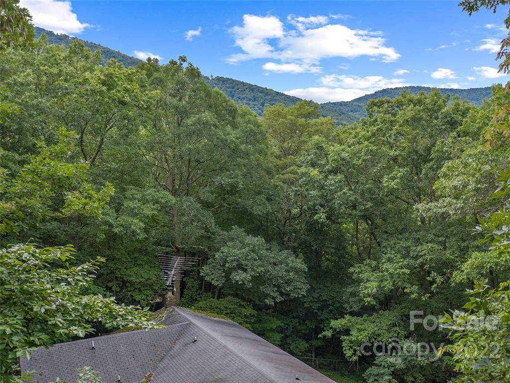 207 Lytle Cove Road - Photo 1
