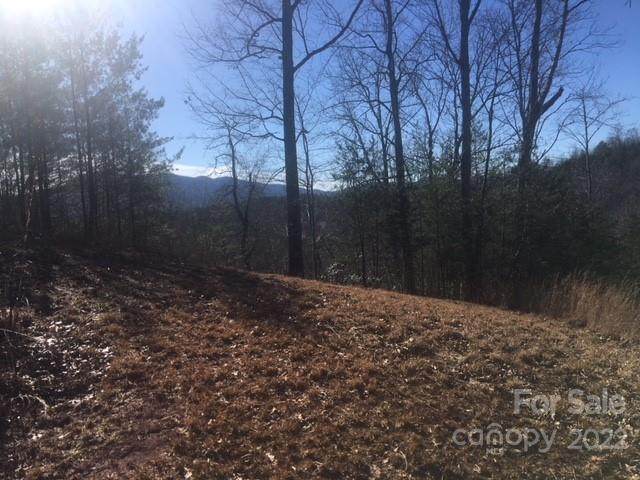 30 Mountain Parkway - Photo 1