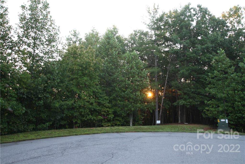 TBD Poplar Bluff Drive - Photo 1
