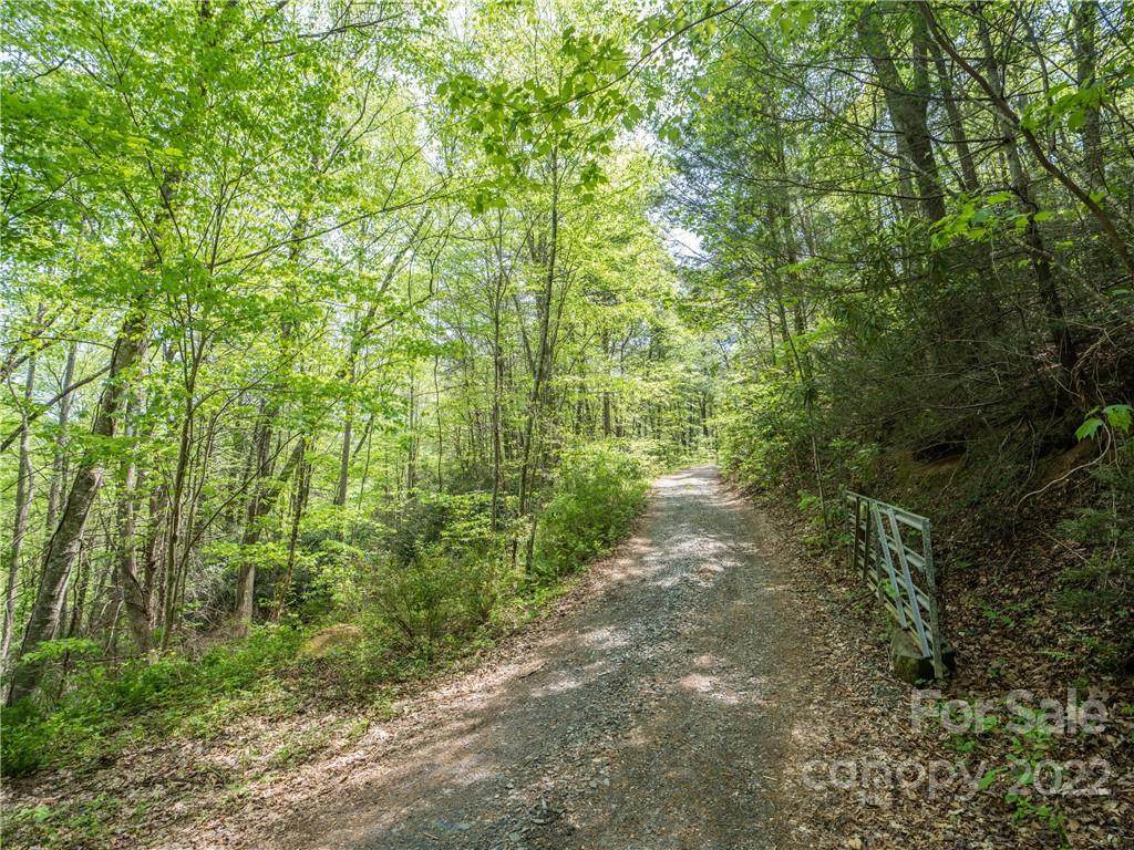 99999 Lost Whippoorwill Lane - Photo 1