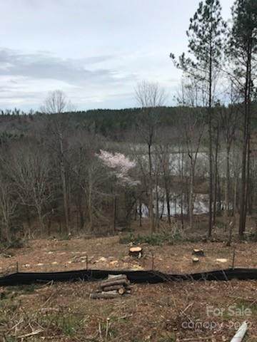 235 Table Rock Trace - Photo 1
