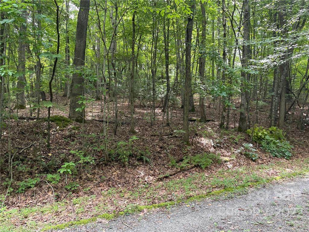 Lot p - 19 Ridgemont Road - Photo 1