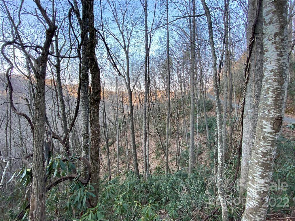 5 Lots Big Ridge Road - Photo 1