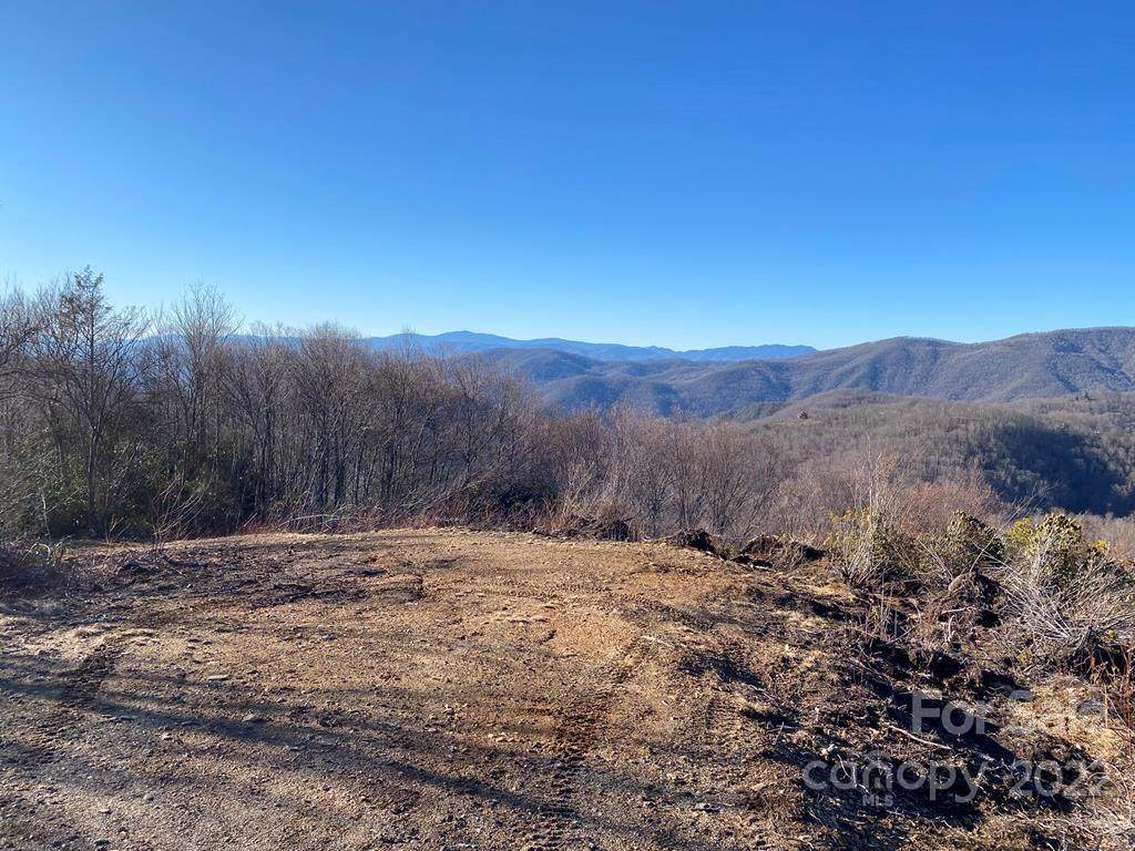 0 Plott Balsam Road - Photo 1