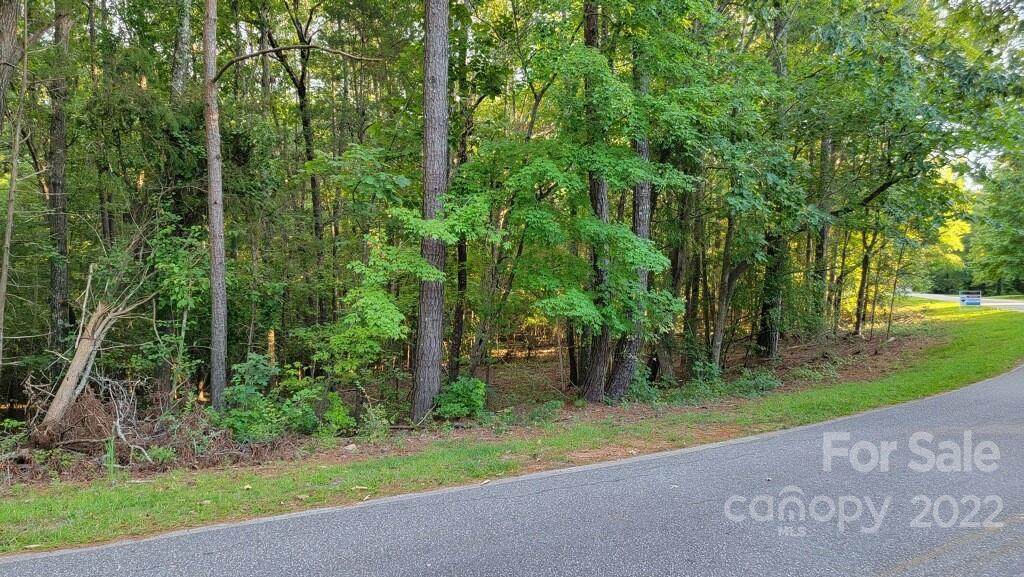 Lot 10 Rock Chimney Circle - Photo 1