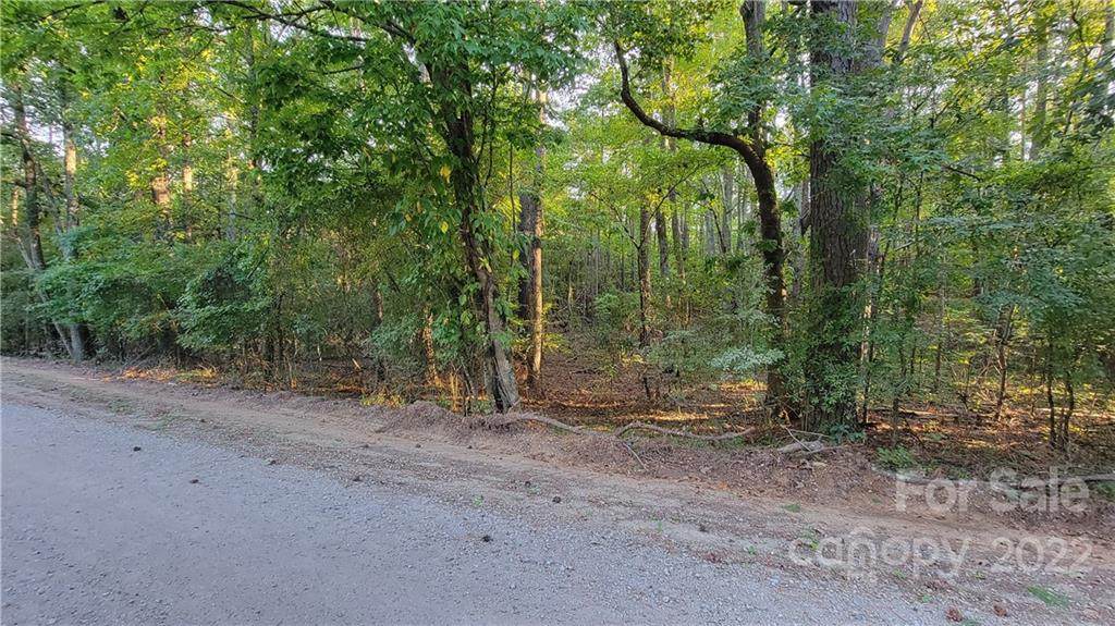 Lot 41 Waxhaw Village Road - Photo 1