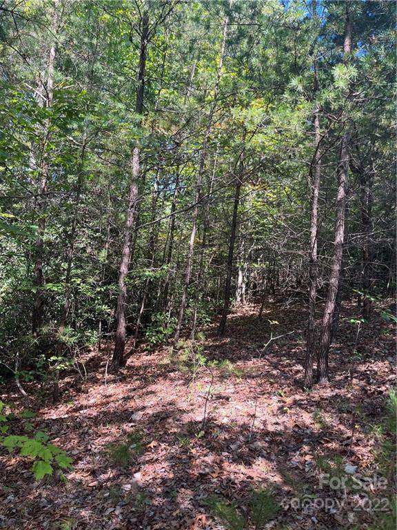 0 Brookside Parkway - Photo 1