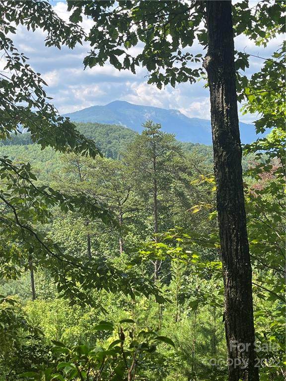 0 High Pines Loop - Photo 1