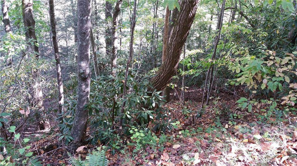 Lot 83 Grandview Drive - Photo 1