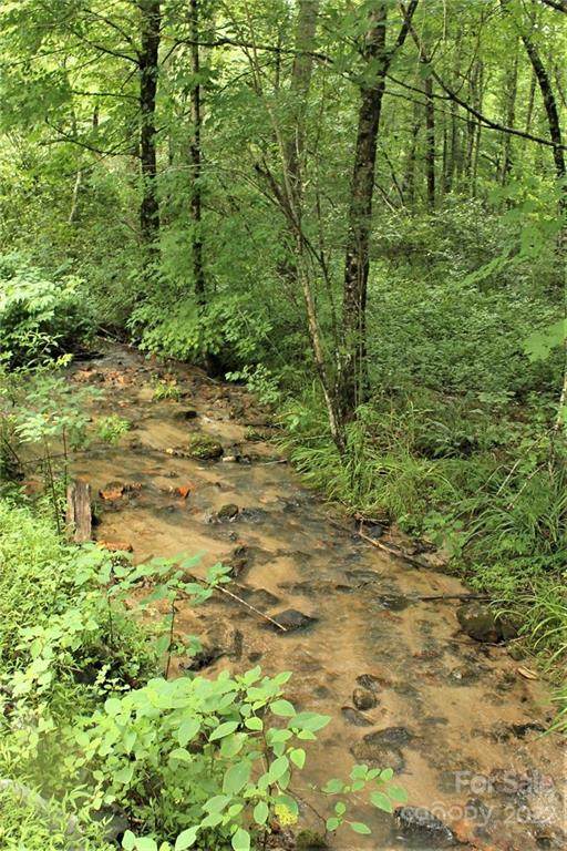 0 Robinson Gap Road - Photo 1