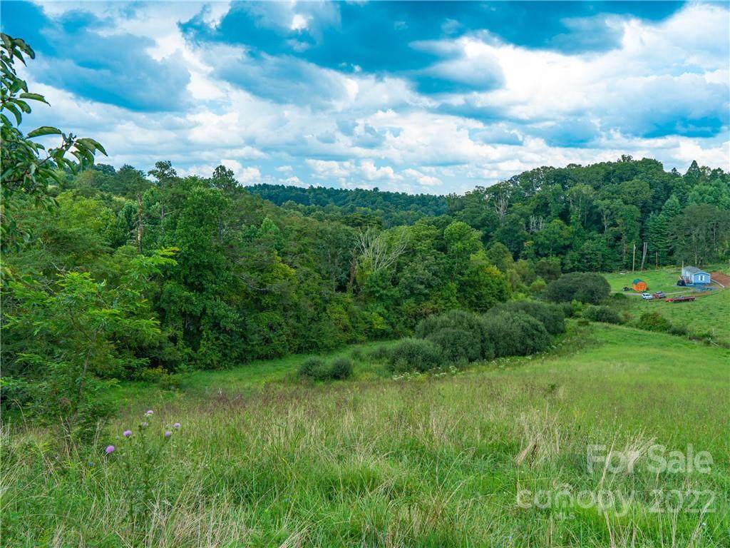 0 Meadows Town Road - Photo 1