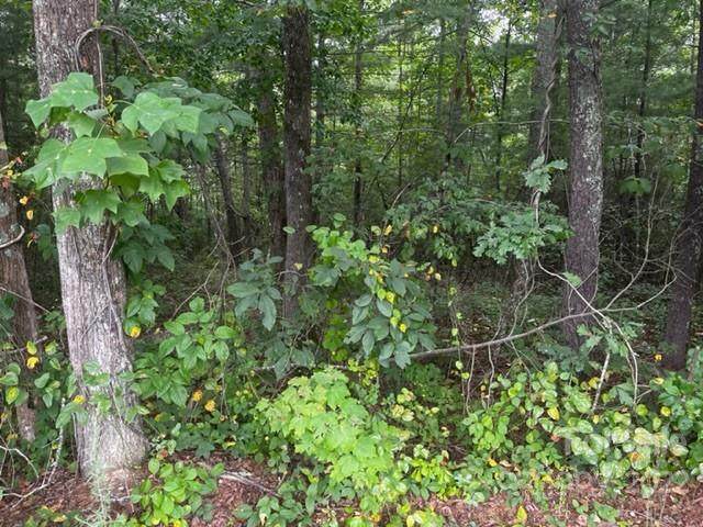 1875 Ridge Road - Photo 1