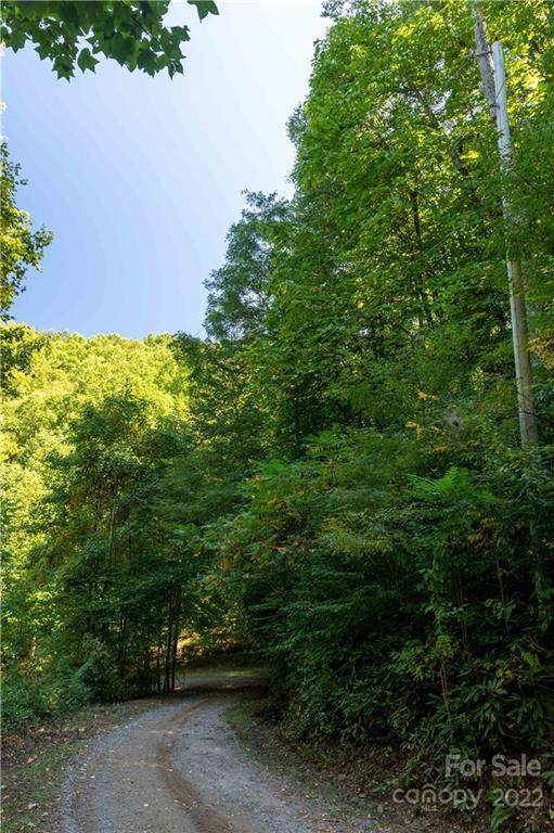 00 Big Ridge Road - Photo 1
