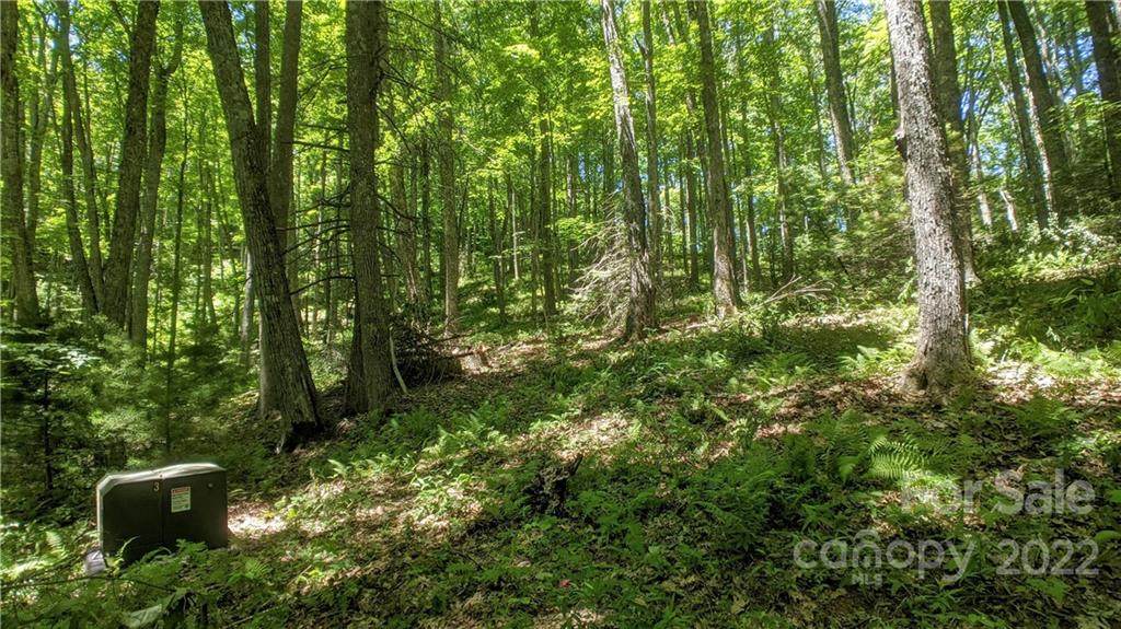 99999 Hemlock Trail - Photo 1