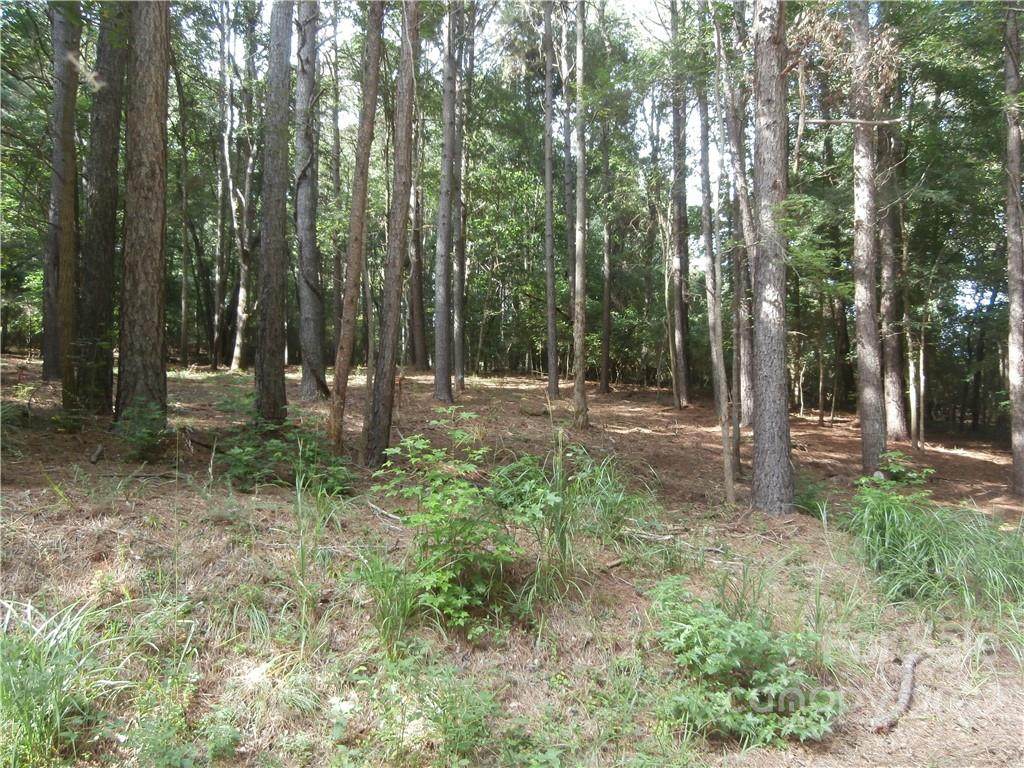 357 Hopewell Church Road - Photo 1