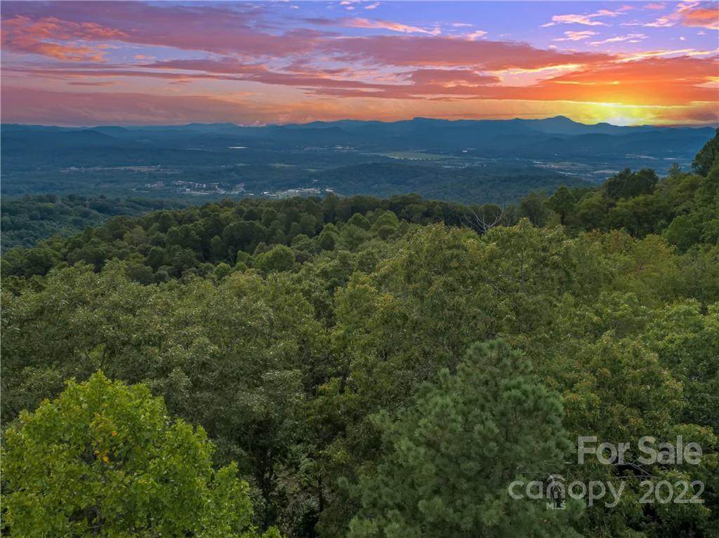 LOT 46 Mountain Grove Lane - Photo 1