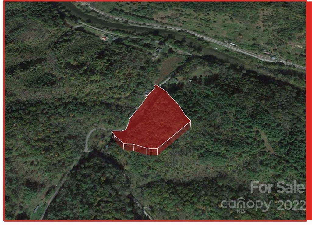 0 Long Branch Road - Photo 1