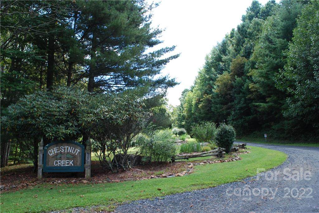 TBD Chestnut Creek Road - Photo 1