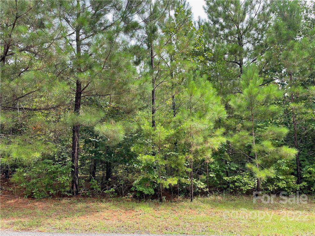 00 Hope Drive - Photo 1