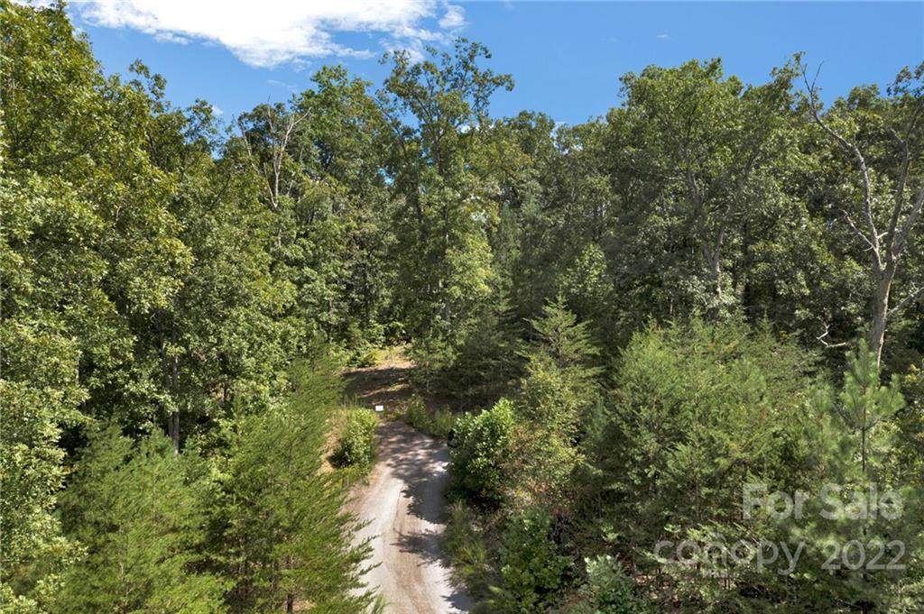 Lot 42 Walkaloosa Way - Photo 1