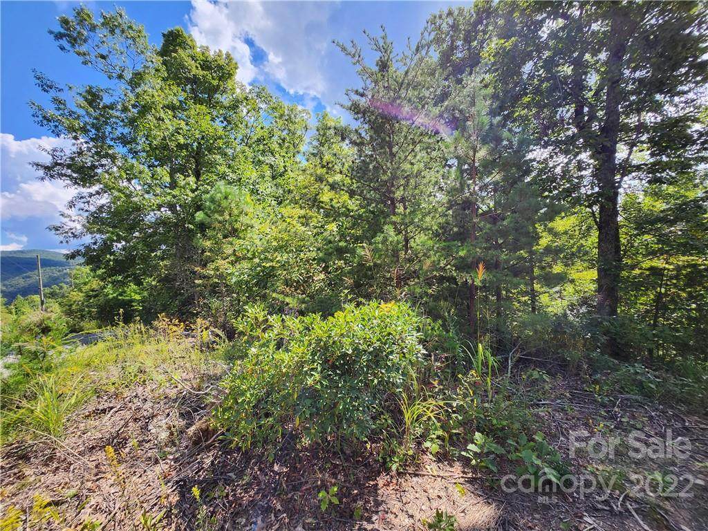 51 Autumn View Drive - Photo 1