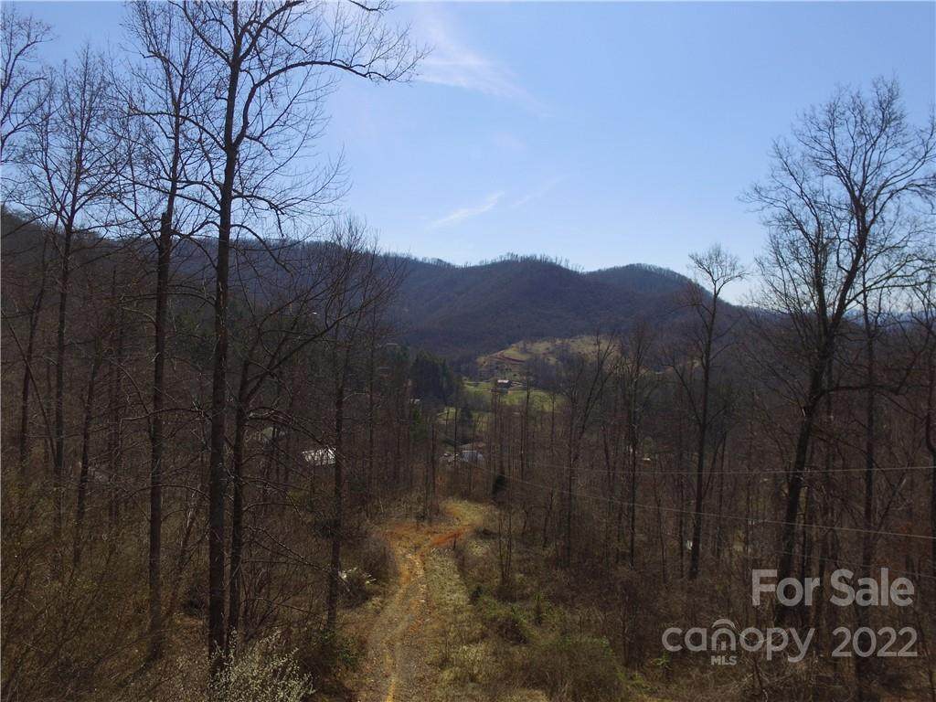 320 Blue Hawk Road Blue Hawk Road - Photo 1