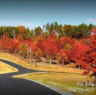 0000 Hickory Loop - Photo 1
