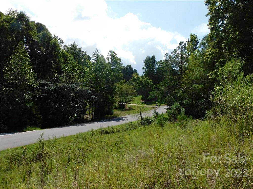 263 Catawba Crest Lane - Photo 1
