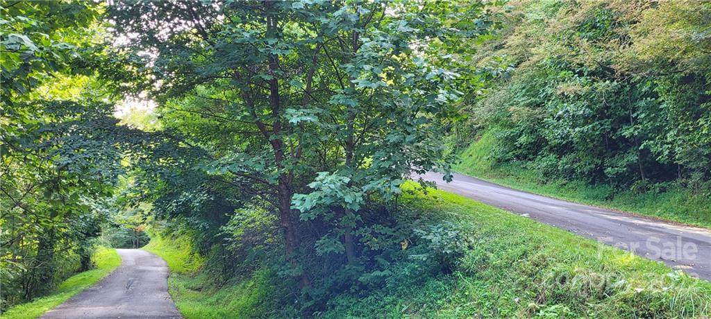99999 Running Deer Lane - Photo 1
