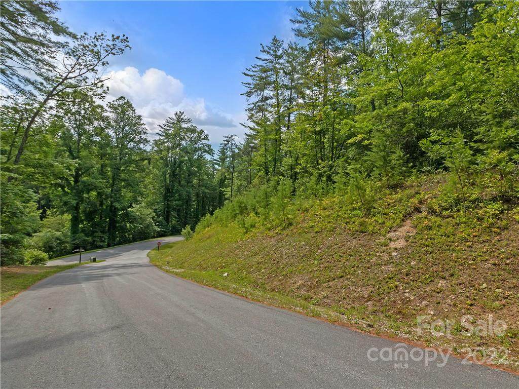 Lot 38 Abby Falls Drive - Photo 1
