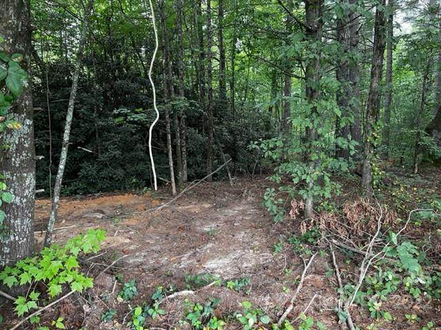1893 Ridge Road - Photo 1