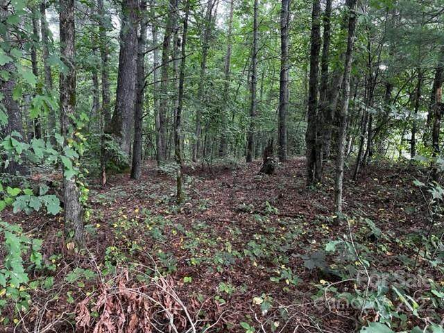 1909 Ridge Road - Photo 1