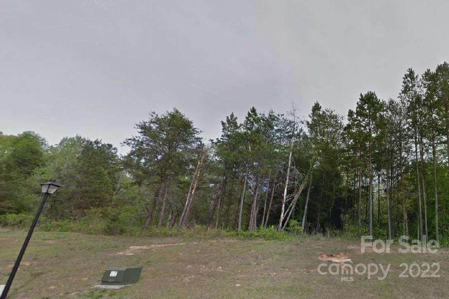 lot 11 River Birch Drive - Photo 1