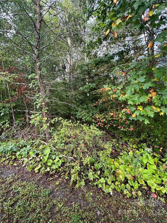 341 Sagewood Drive - Photo 1