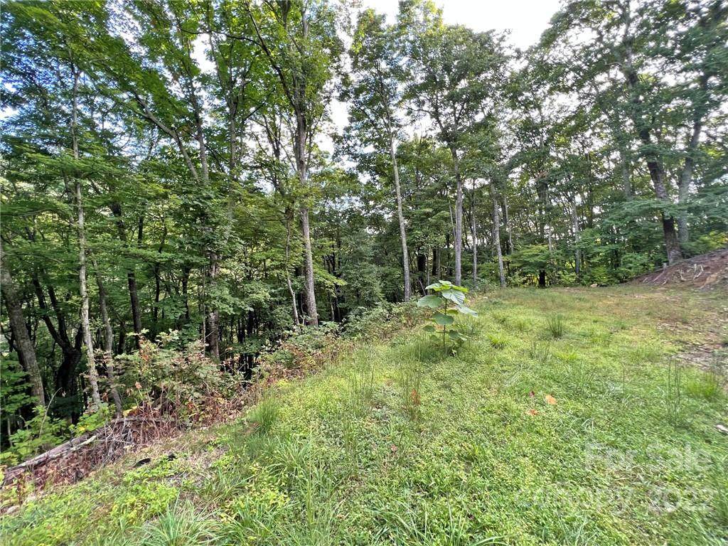 TBD Staghorn Drive - Photo 1