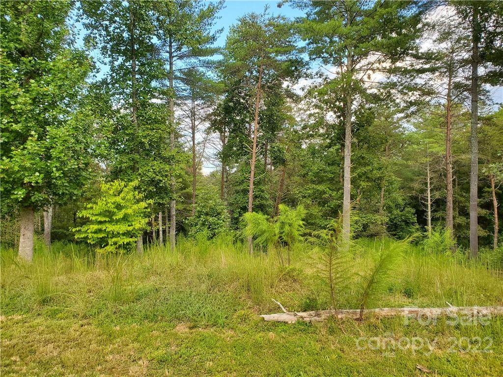 3160 Bear Paw Avenue - Photo 1