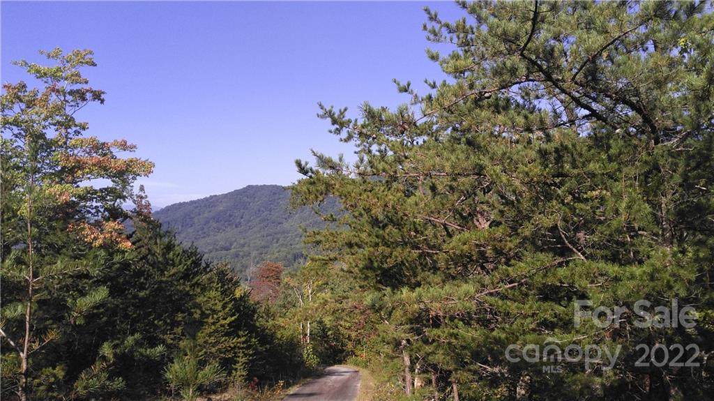 Lot 16C/17C Oconee Drive - Photo 1