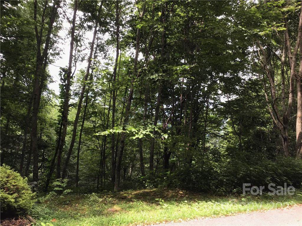 Lot B-10 Awohali Trail - Photo 1